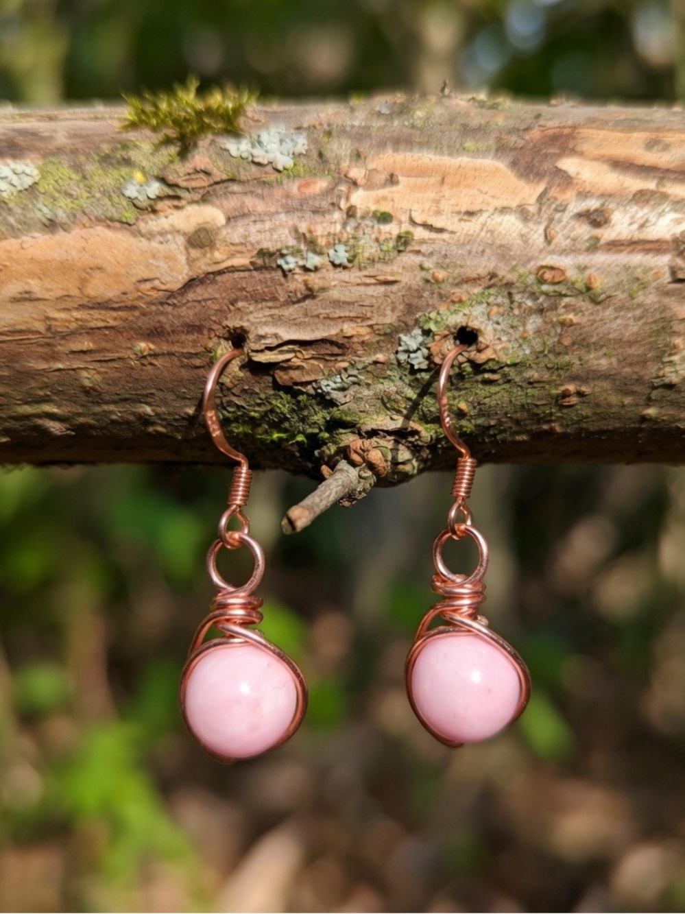 Pink Conch Shell Wire Wrapped Earrings Rose Gold